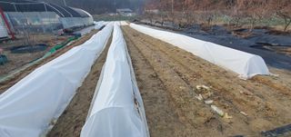 박상중님의 기타작물 · 영농일지 작성글 사진