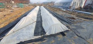 박상중님의 기타작물 · 영농일지 작성글 사진