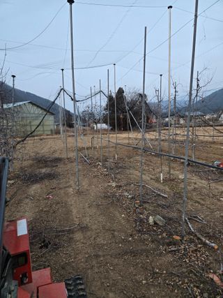 홍1237님의 사과 · 영농일지 작성글 사진