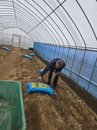 비타민님의 고추 · 영농일지 작성글 사진