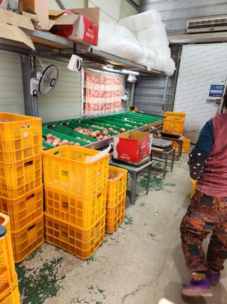 김영암님의 기타작물 · 영농일지 작성글 사진