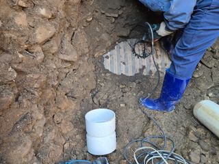 송명식님의 기타작물 · 영농일지 작성글 사진