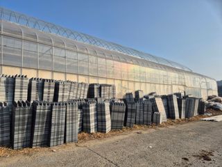 늘햇살팜 님의 기타작물 · 영농일지 작성글 사진