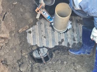 송명식님의 기타작물 · 영농일지 작성글 사진