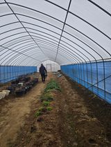 비타민님의 작성글 사진