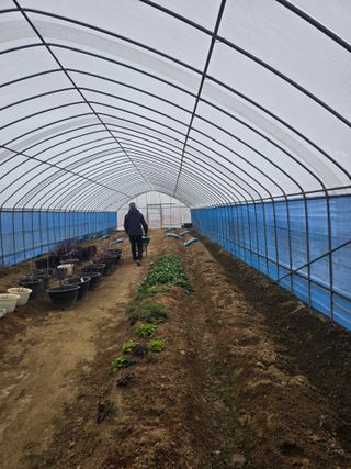 비타민님의 블루베리 · 영농일지 작성글 사진