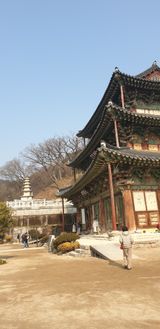 팜모닝 기타작물·영농일지 게시글 이미지