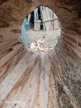 팜모닝 기타작물·영농일지 게시글 이미지