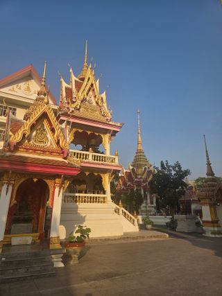 최동수님의 기타작물 · 영농일지 작성글 사진