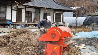 강류담15632님의 콩 · 영농일지 작성글 사진