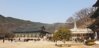 정천복님의 기타작물 · 영농일지 작성글 사진