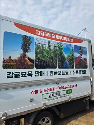 민성종묘(감귤묘목)님의 귤 · 영농일지 작성글 사진