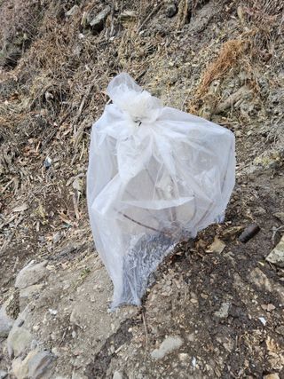 김용대님의 기타작물 · 영농일지 작성글 사진