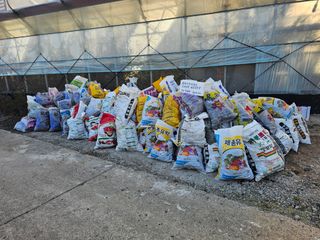 복희네농장(달콤향)님의 귤 · 영농일지 작성글 사진