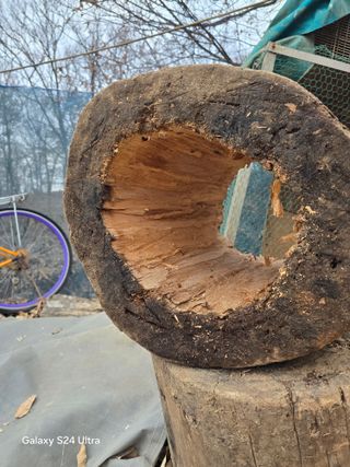 소병찬님의 기타작물 · 영농일지 작성글 사진