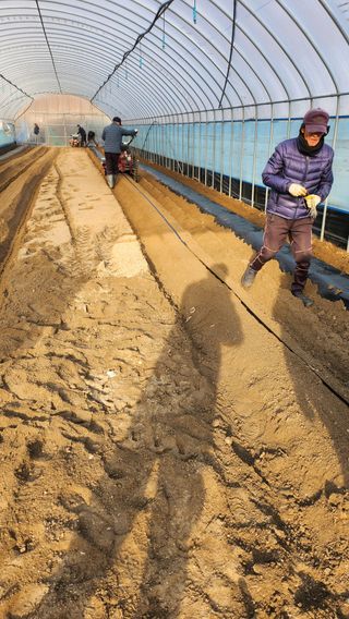 박기철님의 기타작물 · 영농일지 작성글 사진