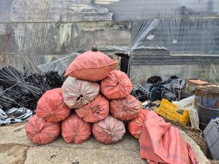 늘햇살팜 님의 기타작물 · 영농일지 작성글 사진