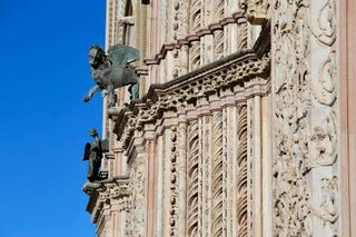 박용덕님의 기타작물 · 영농일지 작성글 사진