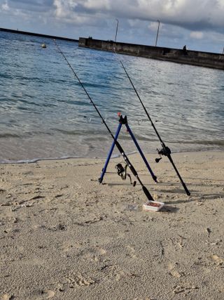 김철우님의 기타작물 · 영농일지 작성글 사진