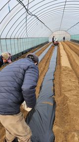 팜모닝 기타작물·영농일지 게시글 이미지