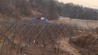 김준한님의 기타작물 · 영농일지 작성글 사진