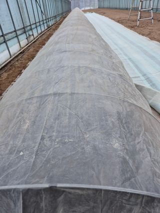 고추나방탄저에적합한님의 기타작물 · 영농일지 작성글 사진