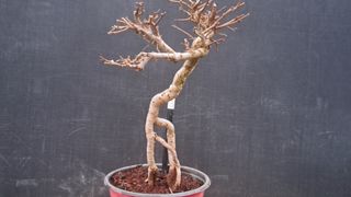 이정운님의 기타작물 · 영농일지 작성글 사진