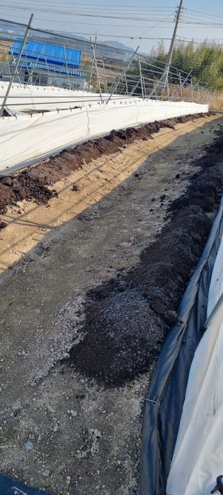 박순덕님의 기타작물 · 영농일지 작성글 사진