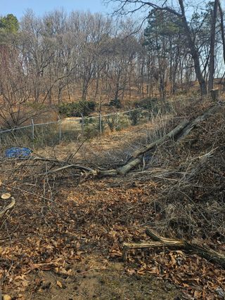 녹우농장님의 기타작물 · 영농일지 작성글 사진