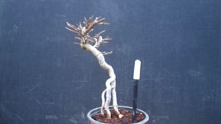 이정운님의 기타작물 · 영농일지 작성글 사진