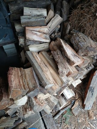 최유순님의 기타작물 · 영농일지 작성글 사진