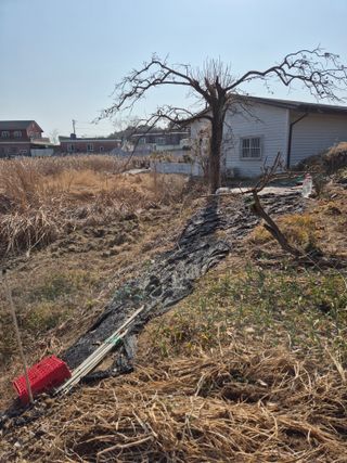 낙엽교목류11048님의 기타작물 · 영농일지 작성글 사진