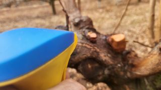 김준한님의 기타작물 · 영농일지 작성글 사진