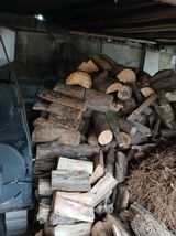 팜모닝 기타작물·영농일지 게시글 이미지