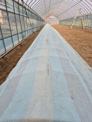 고추나방탄저에적합한님의 기타작물 · 영농일지 작성글 사진