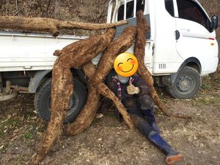 열남님의 기타작물 · 영농일지 작성글 사진