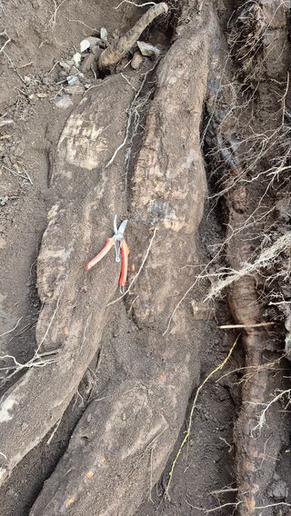 열남님의 기타작물 · 영농일지 작성글 사진