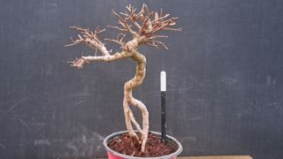 이정운님의 기타작물 · 영농일지 작성글 사진