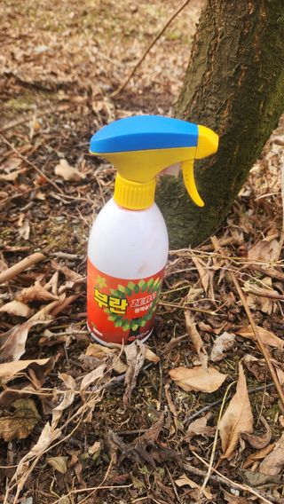 김준한님의 기타작물 · 영농일지 작성글 사진