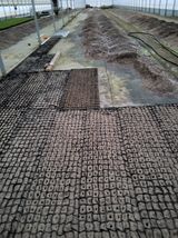 팜모닝 기타작물·영농일지 게시글 이미지