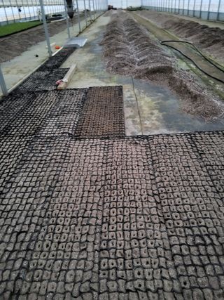 팜모닝회원 김순달 님의 기타작물 · 영농일지 작성글 사진