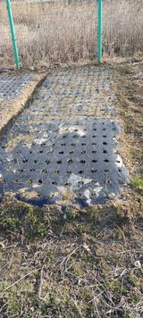 팜모닝 기타작물·영농일지 게시글 이미지