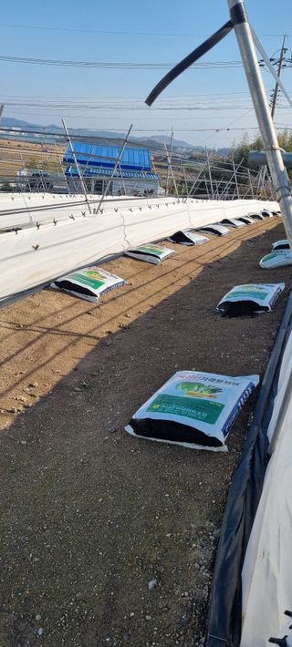 박순덕님의 기타작물 · 영농일지 작성글 사진