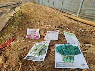 김청수 님의 고추 · 영농일지 작성글 사진