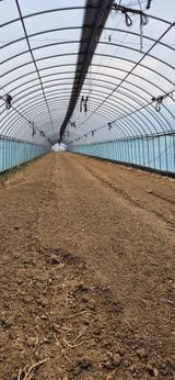 팜모닝 토마토·영농일지 게시글 이미지