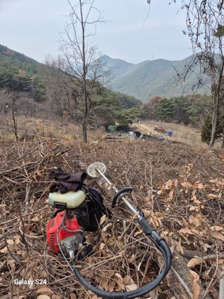 박성균님의 두릅 · 영농일지 작성글 사진
