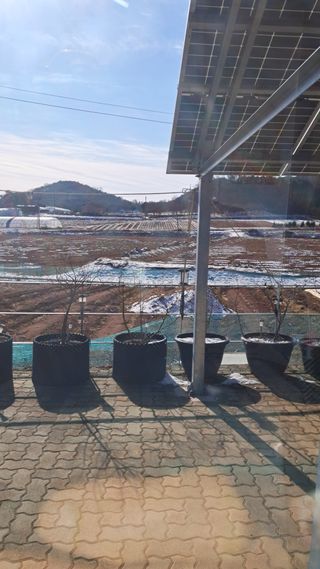 bpjh9173님의 기타작물 · 영농일지 작성글 사진