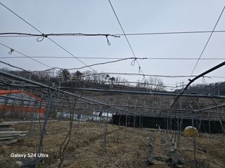 김종협님의 기타작물 · 영농일지 작성글 사진