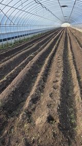 팜모닝 감자·영농일지 게시글 이미지