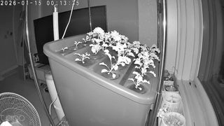 정종배님의 기타작물 · 영농일지 작성글 사진